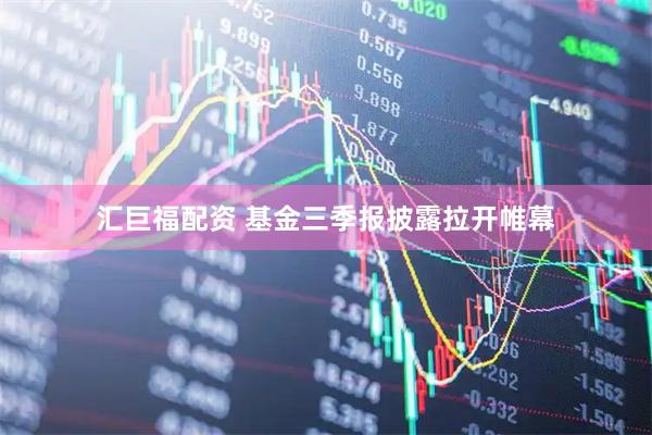 汇巨福配资 基金三季报披露拉开帷幕