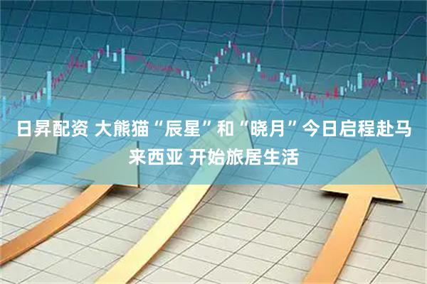 日昇配资 大熊猫“辰星”和“晓月”今日启程赴马来西亚 开始旅居生活