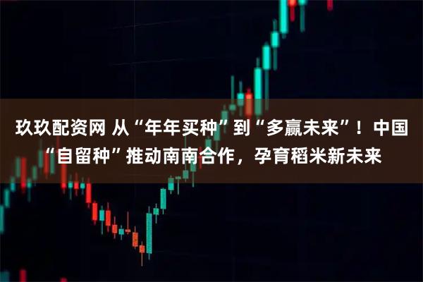 玖玖配资网 从“年年买种”到“多赢未来”！中国“自留种”推动南南合作，孕育稻米新未来