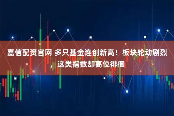 嘉信配资官网 多只基金连创新高！板块轮动剧烈，这类指数却高位徘徊