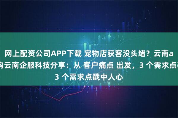 网上配资公司APP下载 宠物店获客没头绪？云南ai营销机构云南企服科技分享：从 客户痛点 出发，3 个需求点戳中人心
